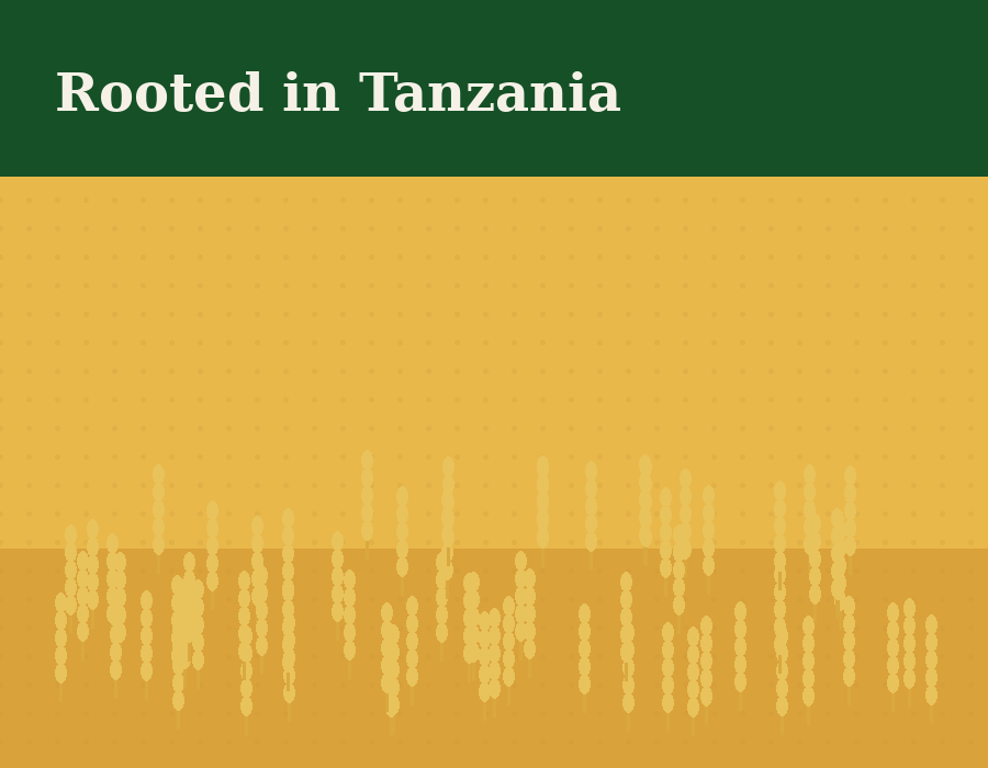 Rooted in Tanzania